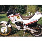 GILERA R1 125 DAKARina